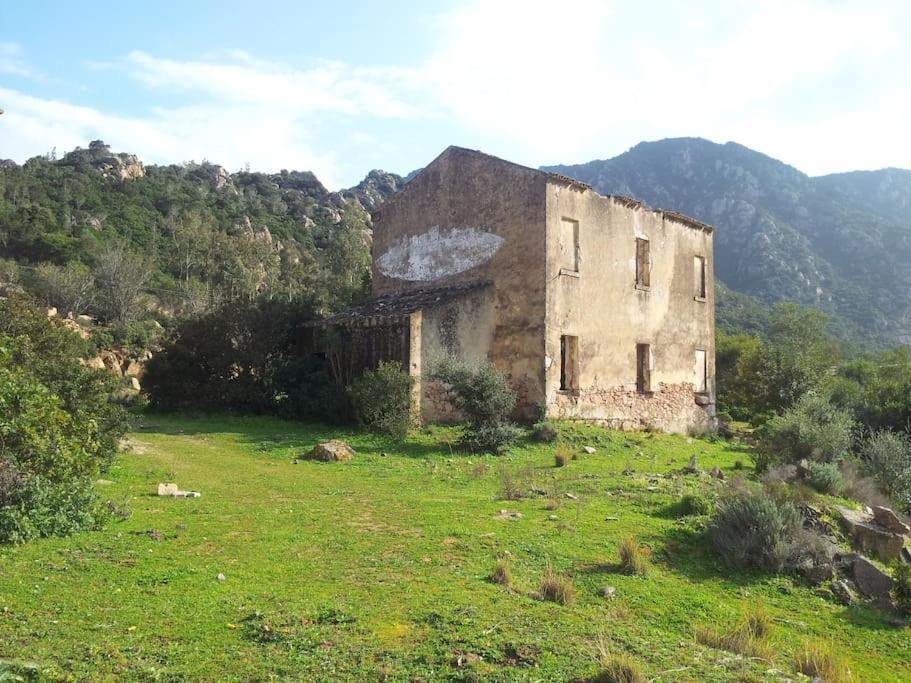 Casa Viola Di Maria Gabriella, San Vito A 25 Minuti Da Costa Rey E Villasimius Bagian luar foto
