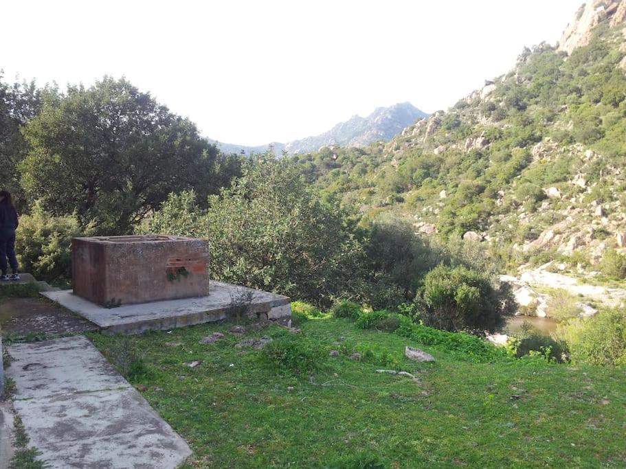 Casa Viola Di Maria Gabriella, San Vito A 25 Minuti Da Costa Rey E Villasimius Bagian luar foto